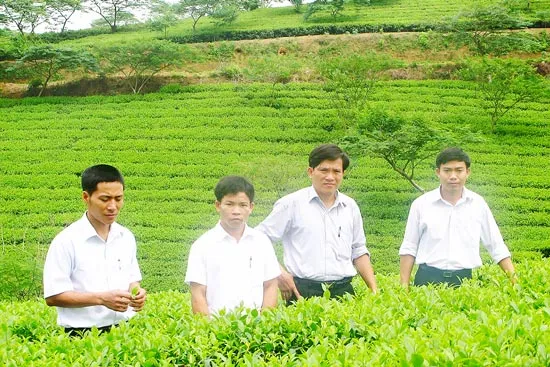 Sức sống mới ở vùng biên