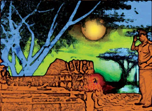 Trăng hàng dương