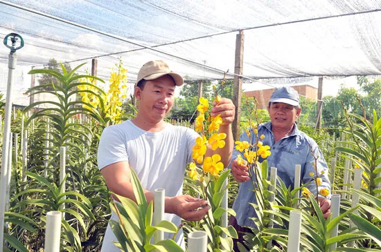 Chủ động chuyển dịch, đạt hiệu quả cao