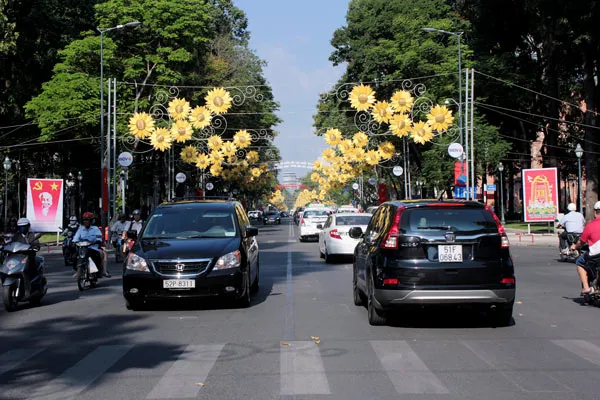TPHCM rực rỡ sắc màu chào mừng Đại hội Đảng lần thứ XII ảnh 5