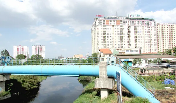 Tạo động lực tổng hợp để đổi mới và hội nhập