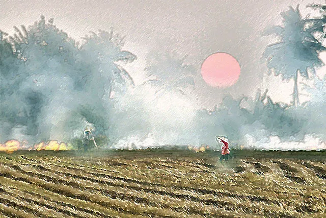 Gió đồng đương thổi