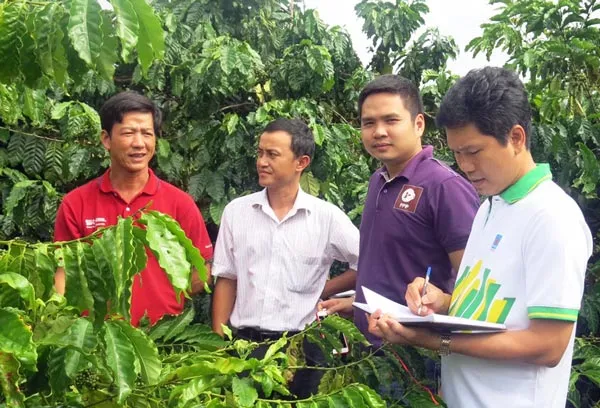 Nâng sức cạnh tranh cho cà phê