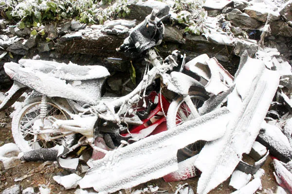 Đã có trâu bò, hoa màu chết vì rét đậm rét hại, băng giá