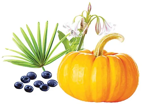 Giảm tiểu đêm, dịu êm tiền liệt tuyến