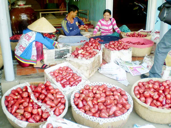 Viên ngọc xanh giữa dòng sông Hậu