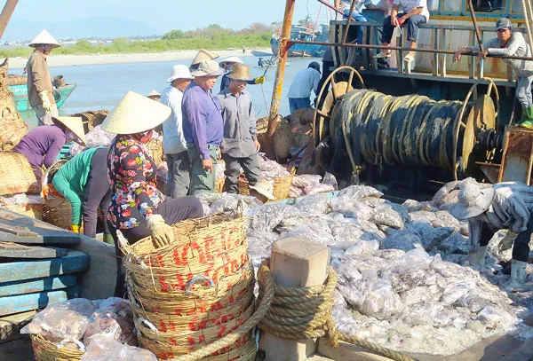 Bà Rịa - Vũng Tàu: Ngư dân đầm ấm, đủ đầy