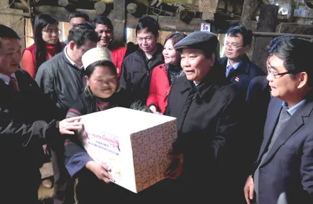 Phó Thủ tướng Nguyễn Xuân Phúc thị sát công tác khắc phục hậu quả rét đậm, rét hại