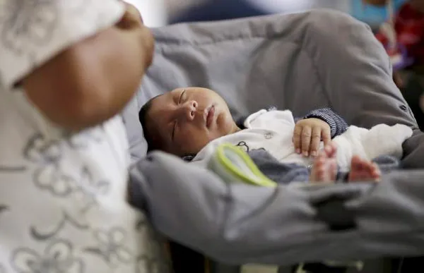 WHO báo động virus Zika "lây lan bùng nổ" ở châu Mỹ