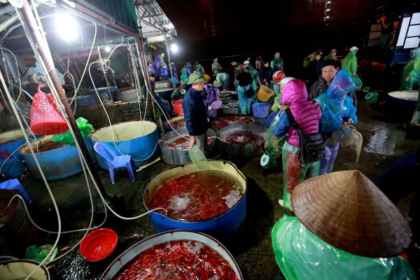 Chợ cá Chép Đỏ lớn nhất Hà Nội