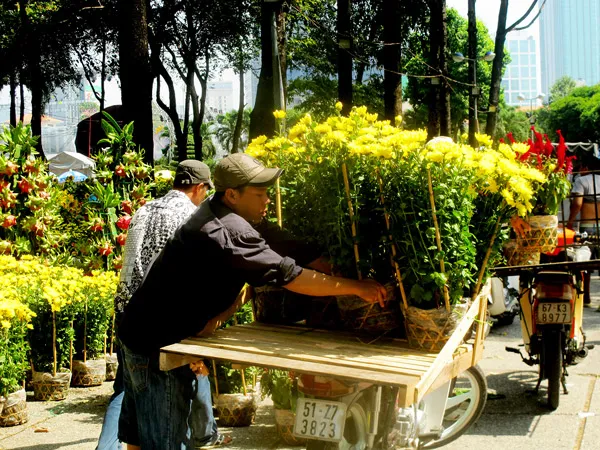 RỘN RÀNG THỊ TRƯỜNG HOA TẾT