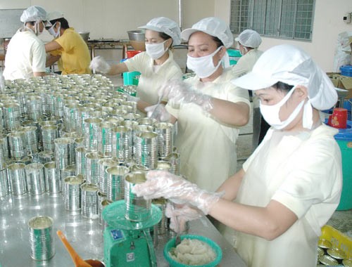Production of canned custard apple for export at a business in Cu Chi district (Photo: SGGP)