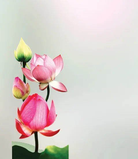 Mồng ba tết thầy