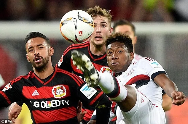 Vòng 20 - Bundesliga: Leverkusen và Bayern Munich chia điểm ảnh 1