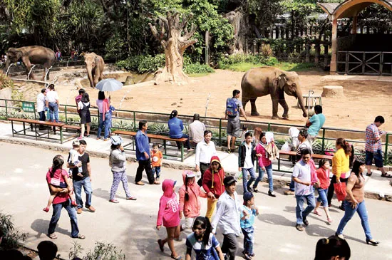 Tăng giá vì khách quá đông