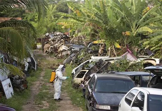 Mỹ phối hợp với Brazil tìm mối liên kết giữa virus Zika với tật đầu nhỏ ở trẻ em