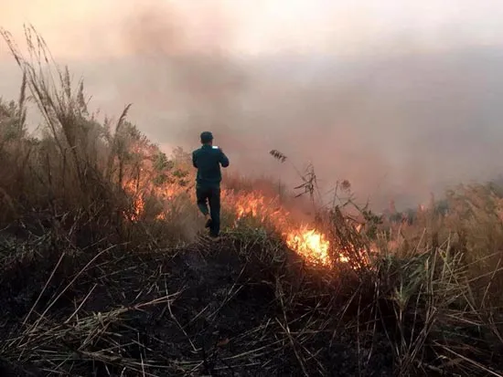 Cháy lớn trên núi Chứa Chan