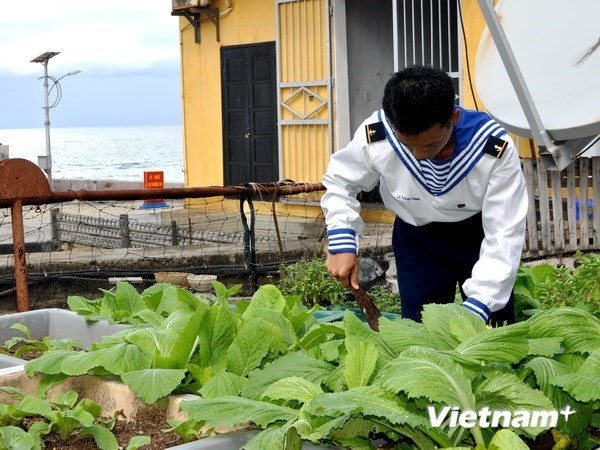 A vegetable garden on Truong Sa (Source: VNA)