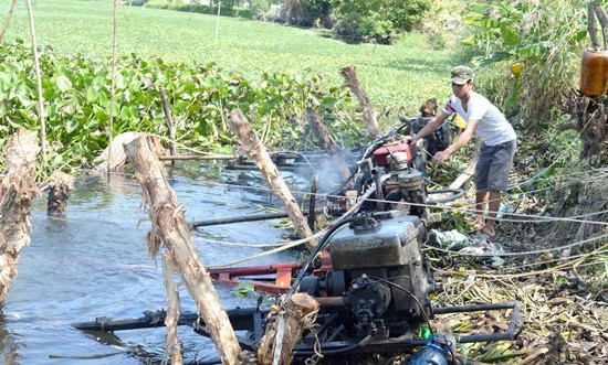 Farmer has to pump salt water out of the canal to save rice crops.