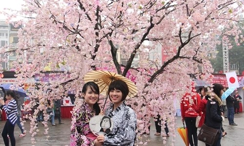 Young girls pose with cherry blossom at the previous festival. VNS Photo