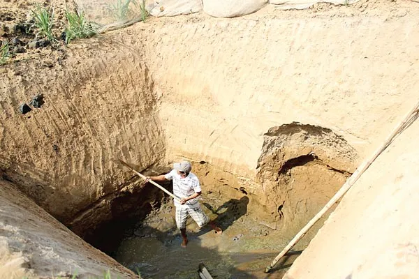 Gồng mình vượt qua hạn, mặn ảnh 3