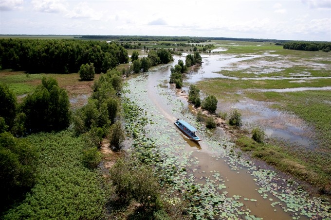 A corner of Tràm Chim National Park – an area rich in biodiversity, located in the Mekong Delta’s Đồng Tháp Province. Việt Nam will improve its Law on Biodiversity to align with TPP’s environmental commitments. (Photo: VNS)