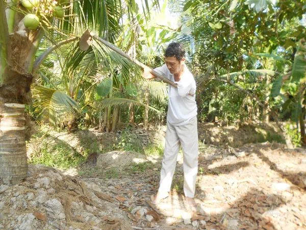 Người láng giềng kỳ lạ