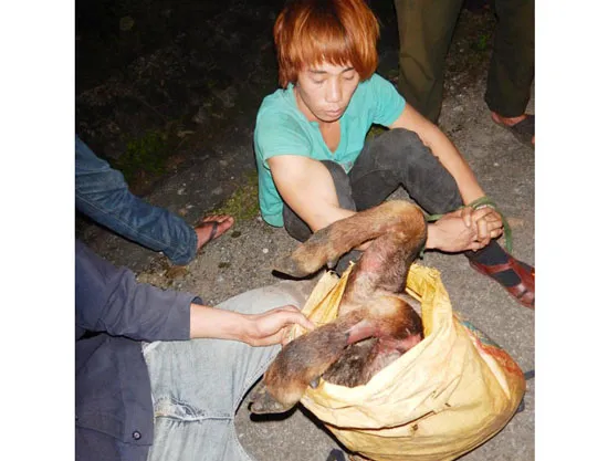 Tuân thủ các cam kết về môi trường