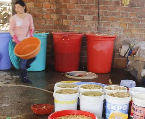 Phát hiện hơn 6 tấn măng tươi ủ "chất lạ"