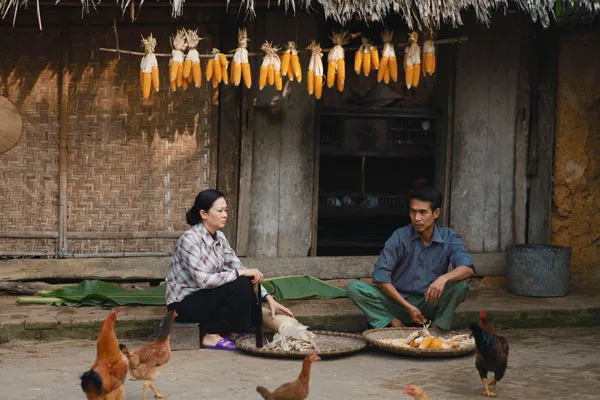 Phim đề tài gia đình “Giọt nước mắt muộn màng” lên sóng VTV