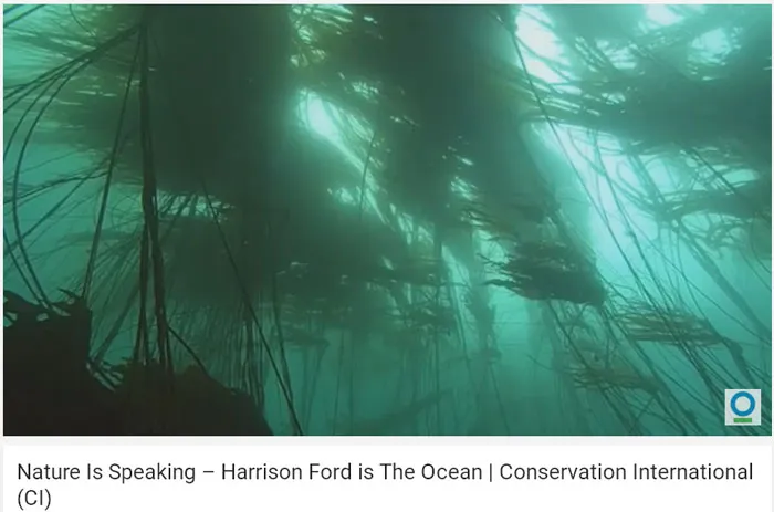 "Nín thở" lắng nghe thông điệp từ Biển