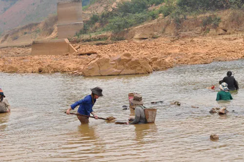 Người dân đổ xô ra sông Pô Kô tìm vàng sa khoáng