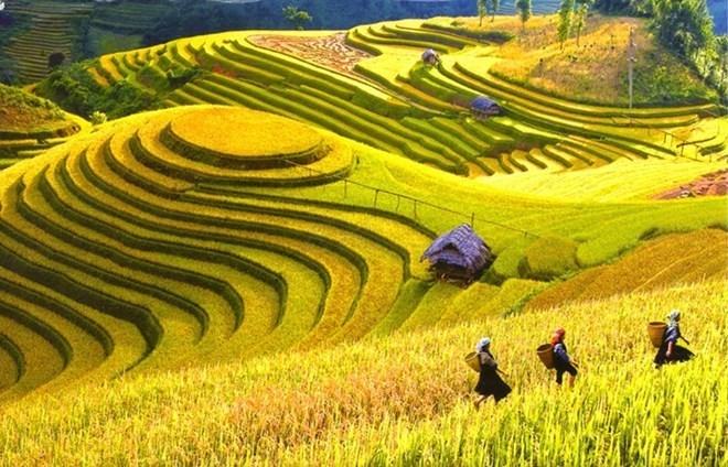 Sa Pa is home to many hill tribes and rice terraces (Photo: kay.vn)