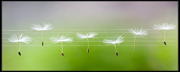 Hanoi-Hai Phong Expressway Management Center (Illustrative photo: SGGP)