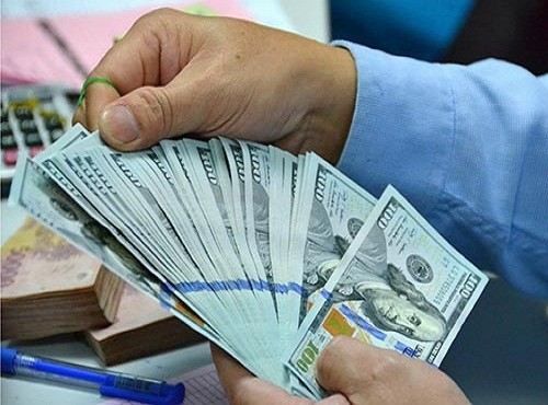 SBV cut rates for dollar deposits to zero per cent in December 2015, in order to prevent the hoarding of foreign currency in the country.— Photo hanoimoi.com.vn