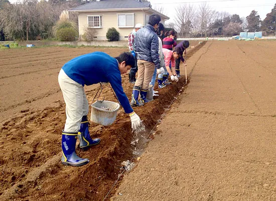 Tập làm nông dân