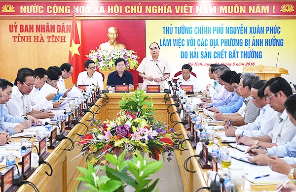 Kết luận của Thủ tướng tại cuộc làm việc với các địa phương bị ảnh hưởng do hải sản chết bất thường