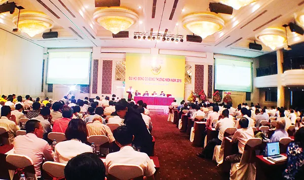 Bình Điền tiếp tục duy trì tăng trưởng trong năm 2016