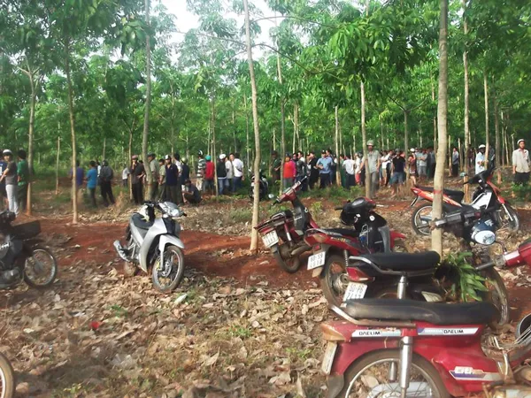 Phát hiện xác chết với nhiều vết thương sát bên quốc lộ 20