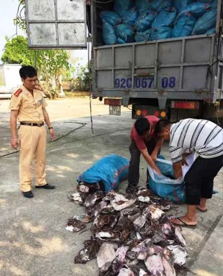 Thanh Hóa: Phát hiện 21 tấn mực khô không rõ nguồn gốc