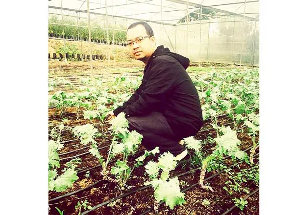 “Hiệp sĩ” rau sạch