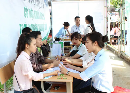 Ngày hội việc làm cho sinh viên năm cuối tại Huế