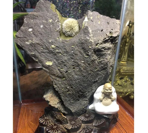 Ngô Thanh Vân đấu giá “hoa ưu đàm 3.000 năm” để cứu trẻ bệnh tim