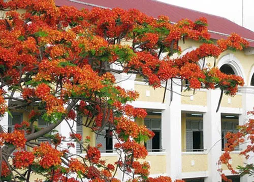 Một nét đẹp của ngành giáo dục