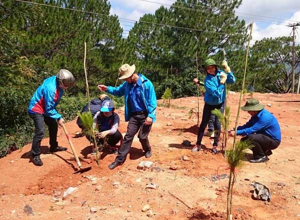 Students plant green tree at Ta Nung