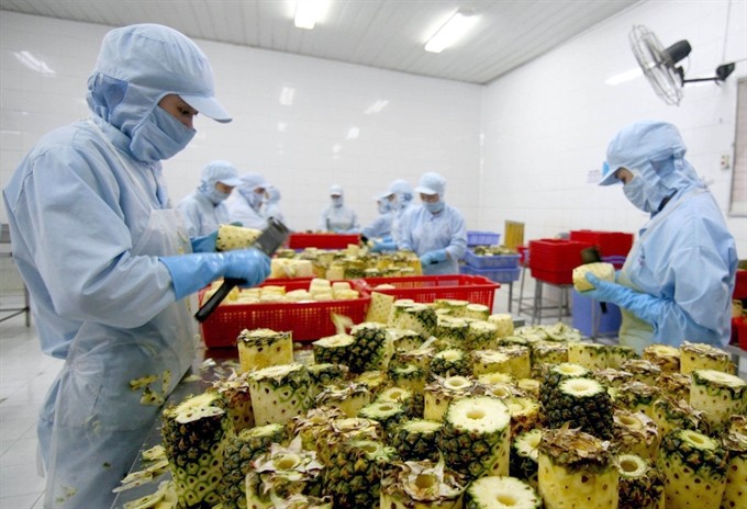 Agricultural products being processed at An Giang Company in southern An Giang Province. With the ASEAN Economic Community already formed and 13 FTAs signed, Viet Nam has free trade relations with 55 countries, including all G7 nations and 15 of the G20 countries. — VNA/VNS Photo