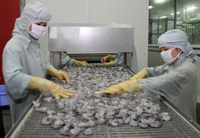 Shrimp processing for exports (Photo: VNA)