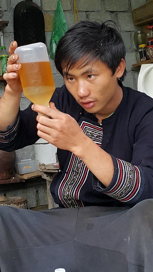 Improved livelihood: 20-year-old Má A Nủ is known in Lào Cai Province for his art of making essential oil extracted from medicinal herbs. (Photo: VNA/VNS)