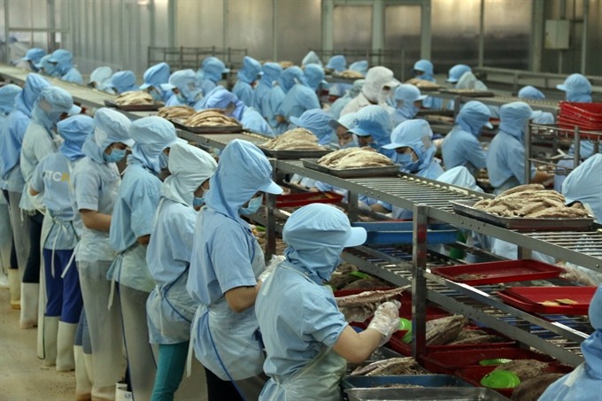 Workers process canned fish for export in KTC Canned Foodstuff Manufactory in Kiên Giang Province. (Photo: VNA/VNS)
