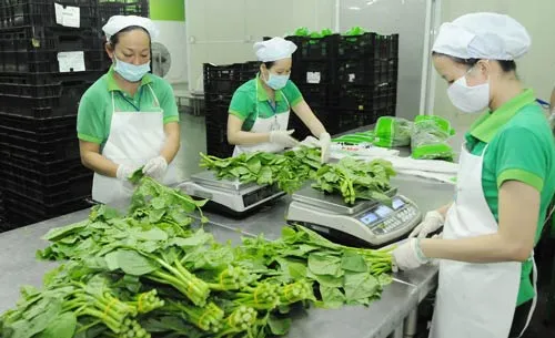 Thực phẩm an toàn: Người tiêu dùng tự cứu mình